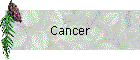 Cancer