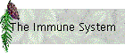 The Immune System